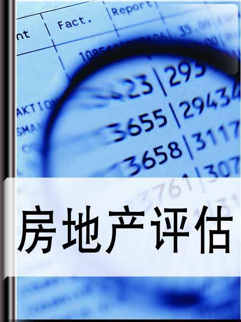 海南省中天房地产评估公司_房地产评估