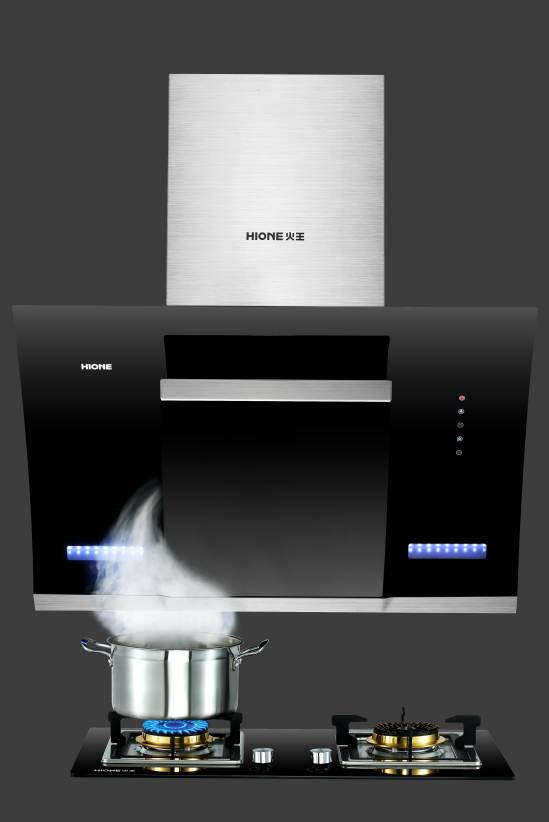 厨电十大排名_小厨娘十大特色菜图片